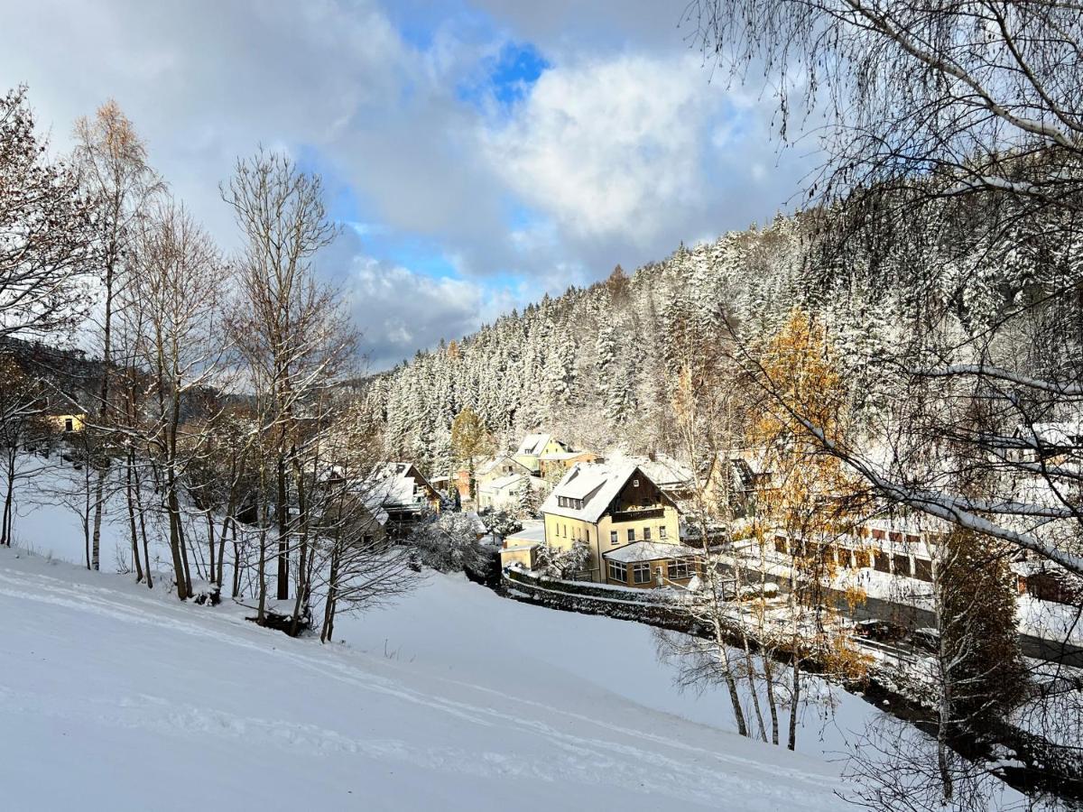 Urige Berghuette Mit Kamin Und Sauna Im Erzgebirge Nahe Schwarzwassertal Pobershau Buitenkant foto