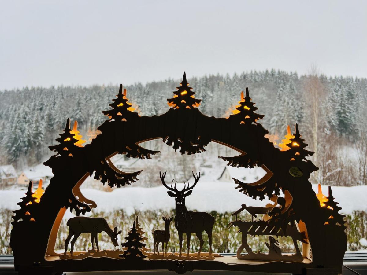 Urige Berghuette Mit Kamin Und Sauna Im Erzgebirge Nahe Schwarzwassertal Pobershau Buitenkant foto