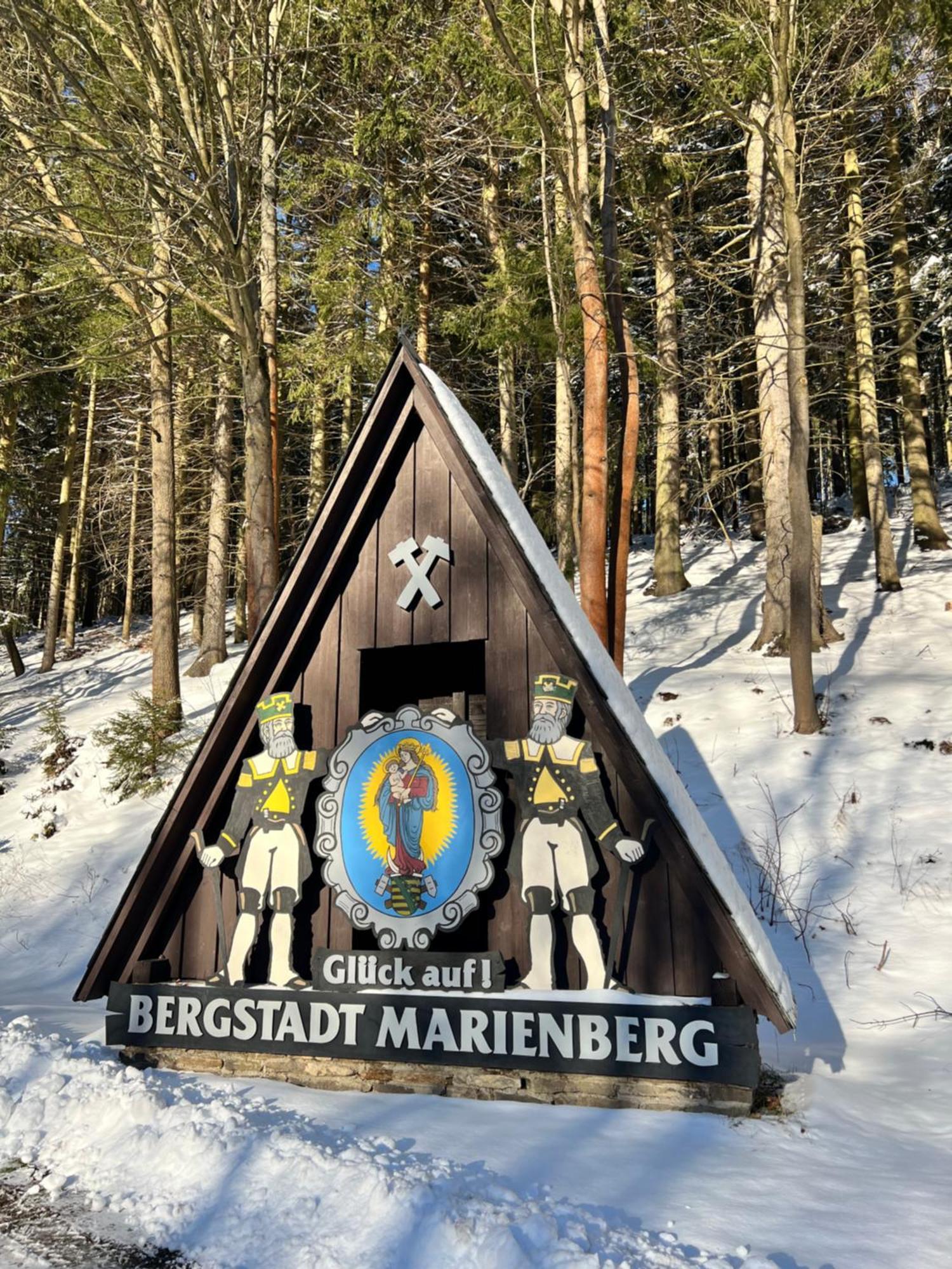 Urige Berghuette Mit Kamin Und Sauna Im Erzgebirge Nahe Schwarzwassertal Pobershau Buitenkant foto