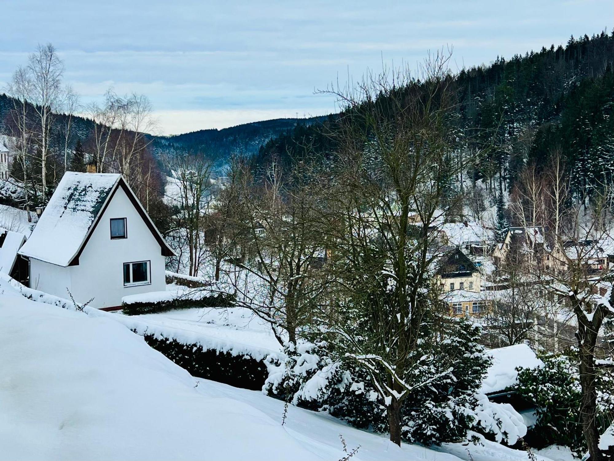 Urige Berghuette Mit Kamin Und Sauna Im Erzgebirge Nahe Schwarzwassertal Pobershau Buitenkant foto